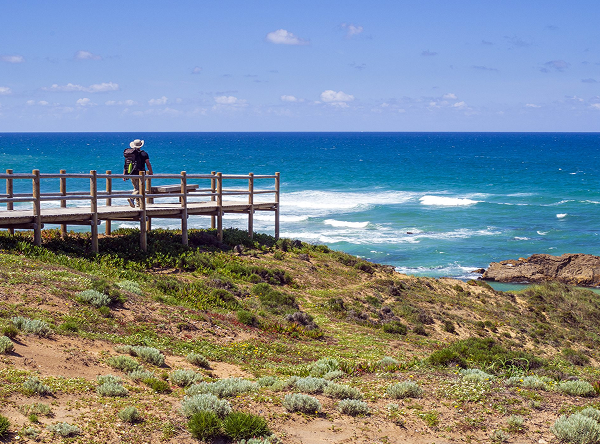 Wooden viewpoint overlooking Costa Vicentina